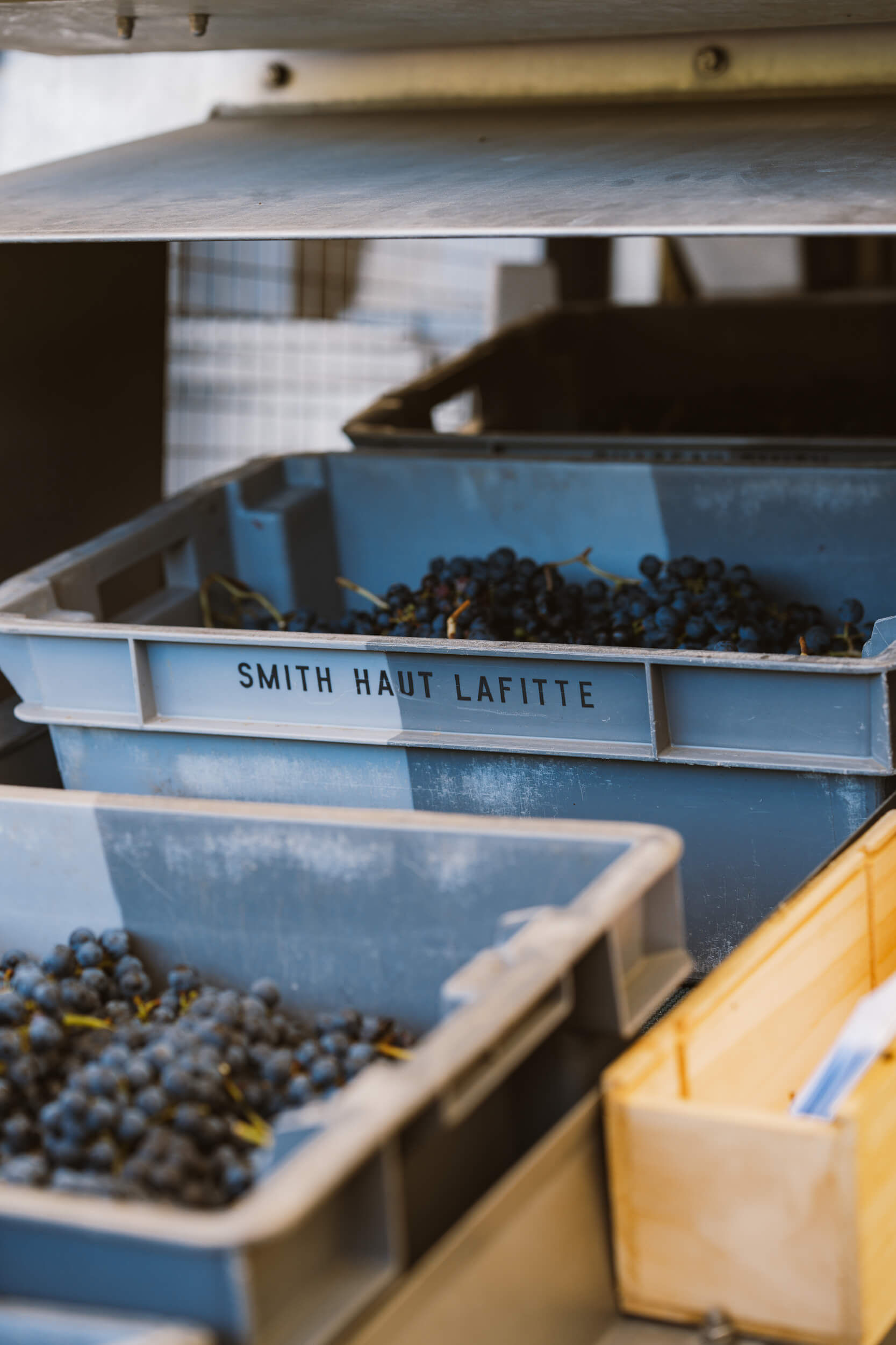 Des clients de tous horizons - Vignerons Consultants