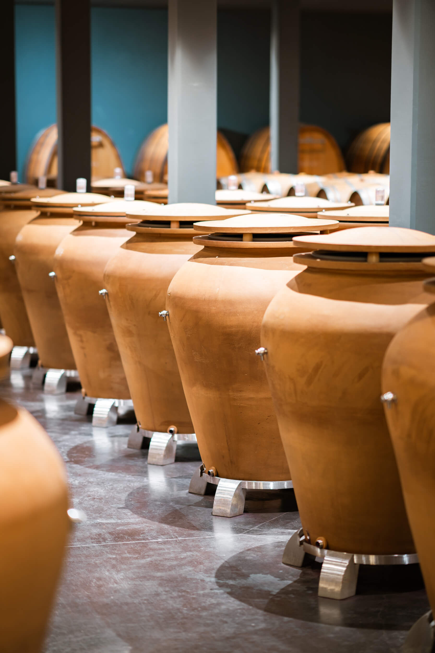 Des clients de tous horizons - Vignerons Consultants