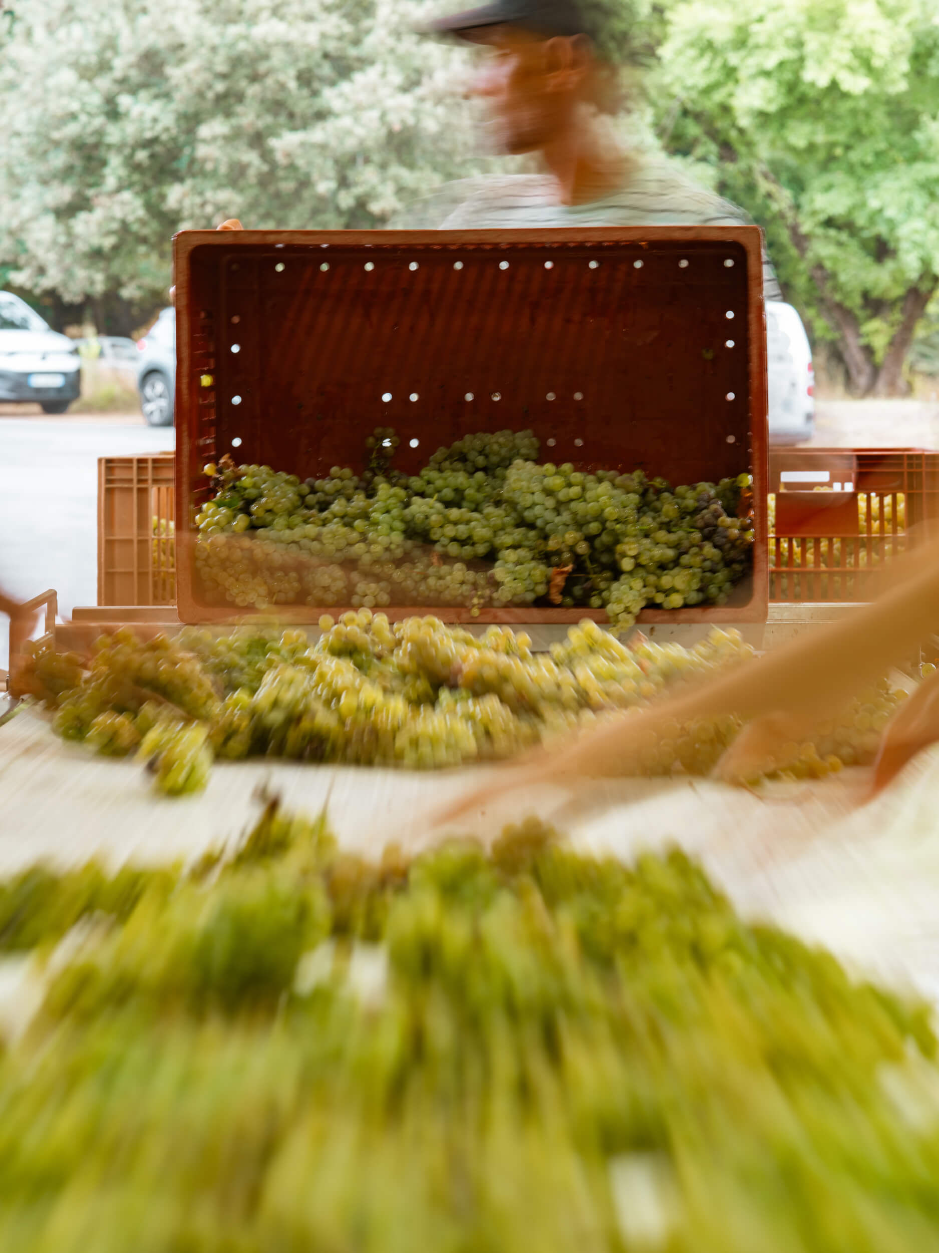 Des clients de tous horizons - Vignerons Consultants