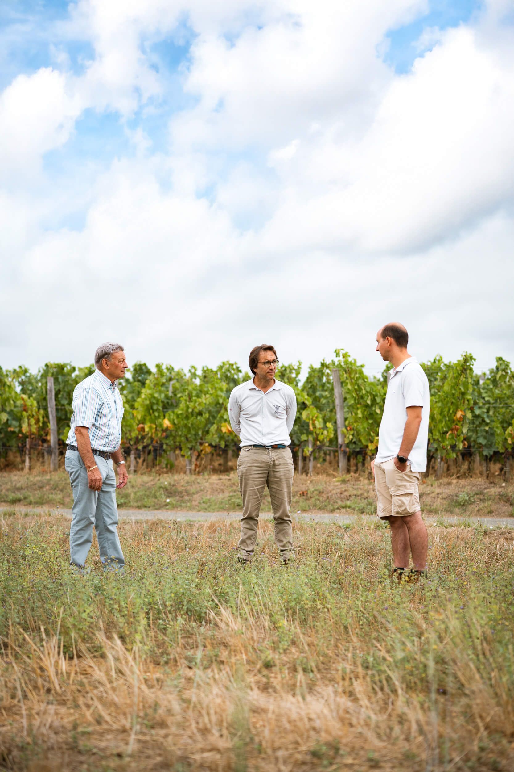 Des racines bordelaises - Vignerons Consultants