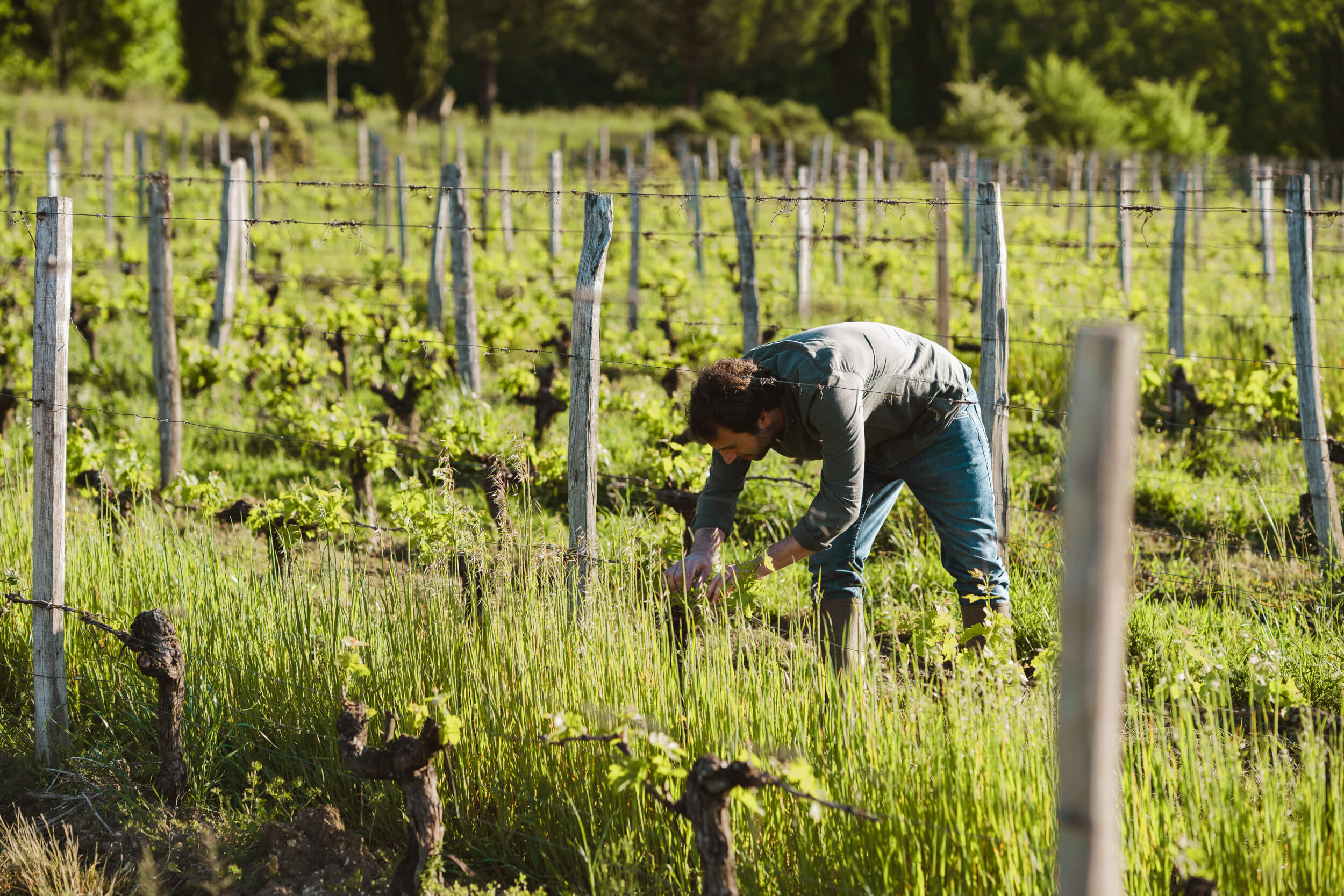 An evolving profession - Vignerons Consultants