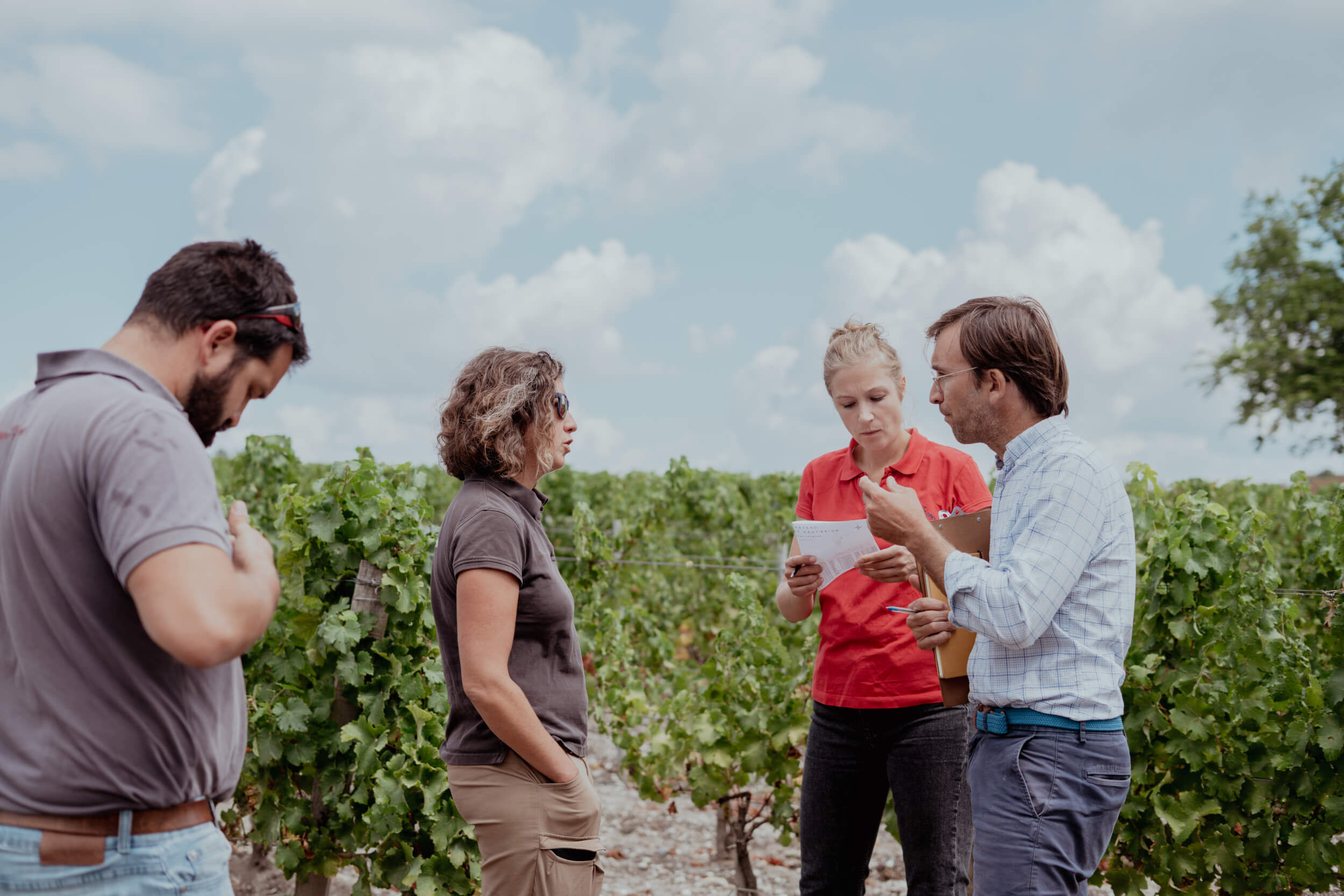 Château Larrivet Haut-Brion : une vision libre du terroir de Pessac-Léognan - Vignerons Consultants