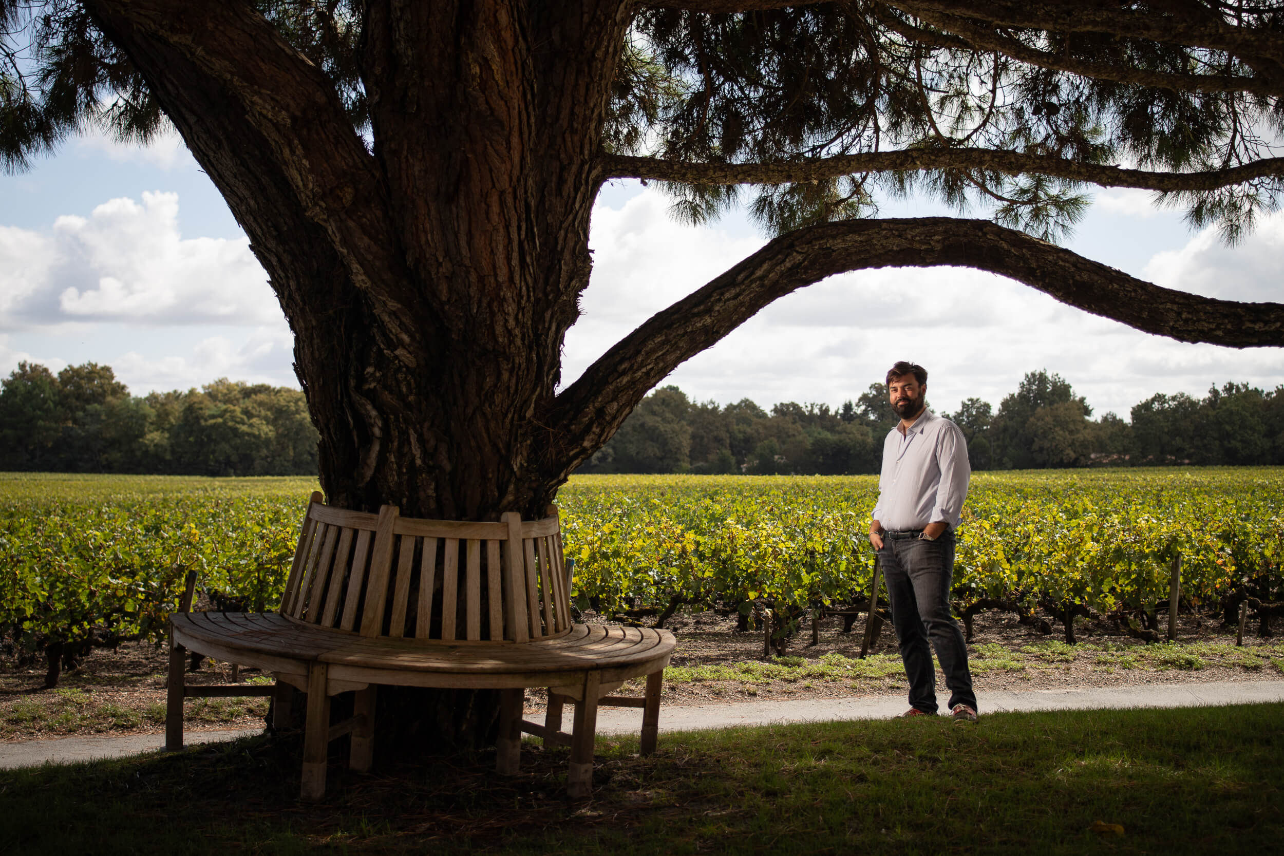 Domaine de Chevalier : accompagner un grand terroir dans le temps - Vignerons Consultants