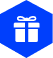 Raffle Lottery Platforms