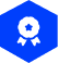Loyalty and VIP programs