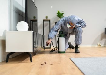 Residential Pest Control in Palo Cedro, CA