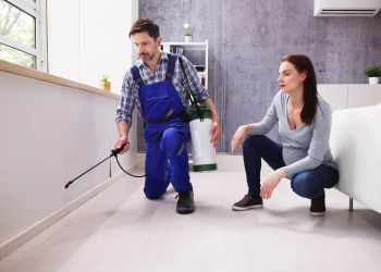 Best Termite Infestation Protection in Westhope, ND