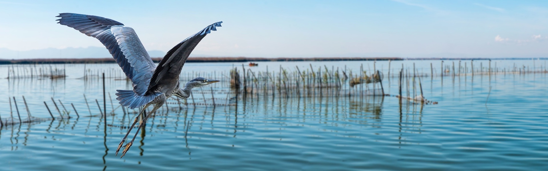 Tour por el centro de Valencia y paseo en barca por la Albufera 