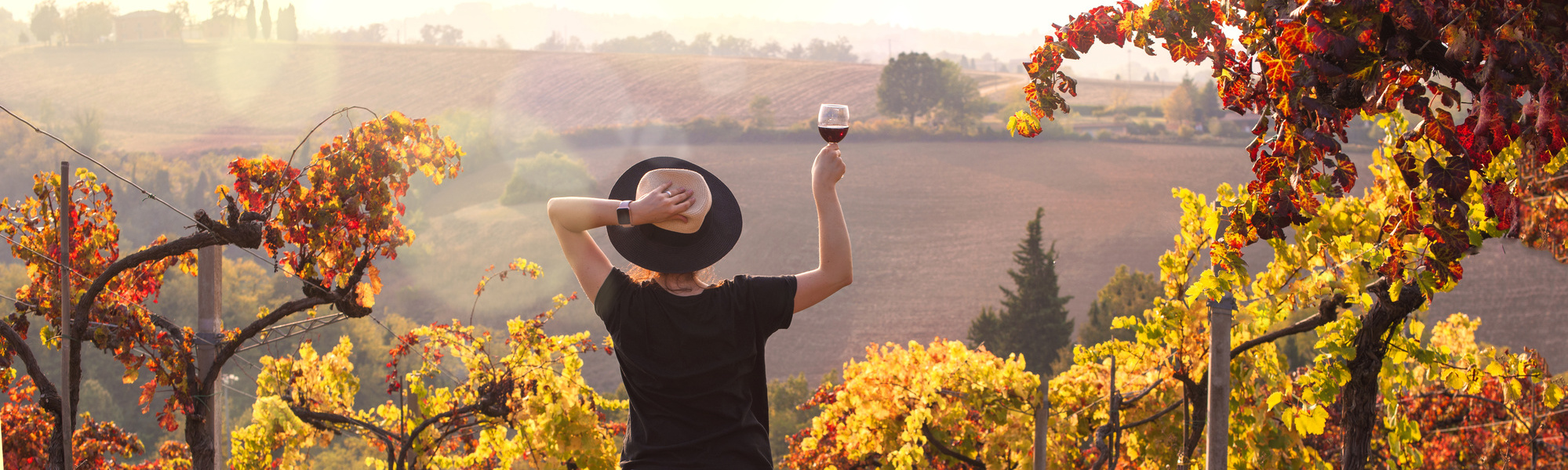 Excursión a 3 bodegas Ribera del Duero 