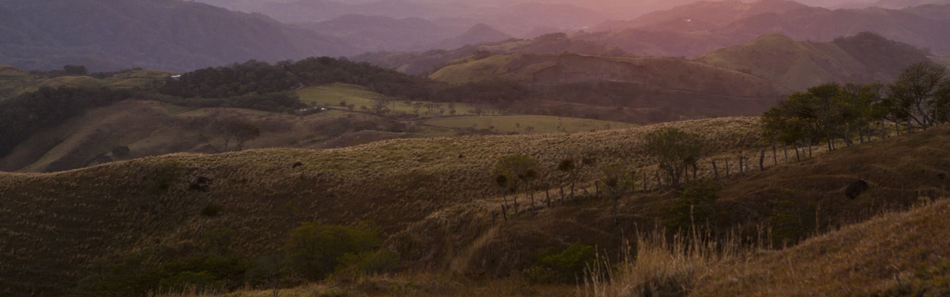 Tour privado a caballo por Monteverde 