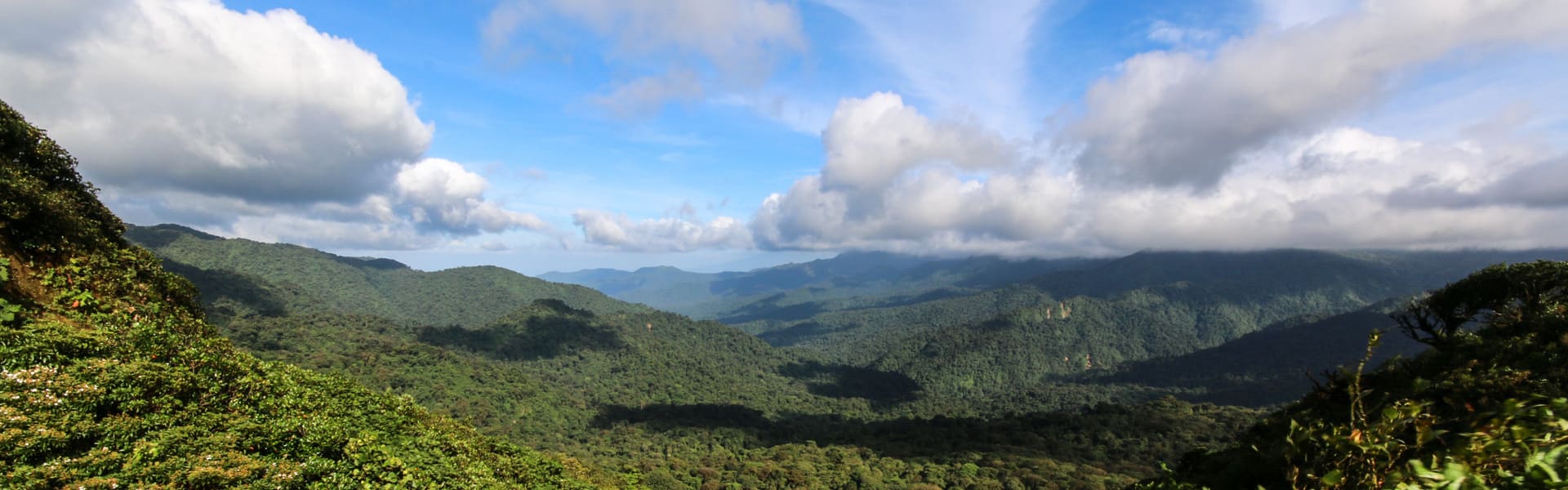 Excursión por la Reserva Bosque Nuboso de Santa Elena