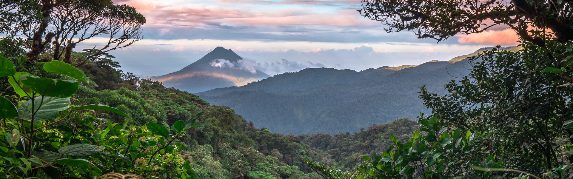 Ruta privada por el Bosque Nuboso de Monteverde