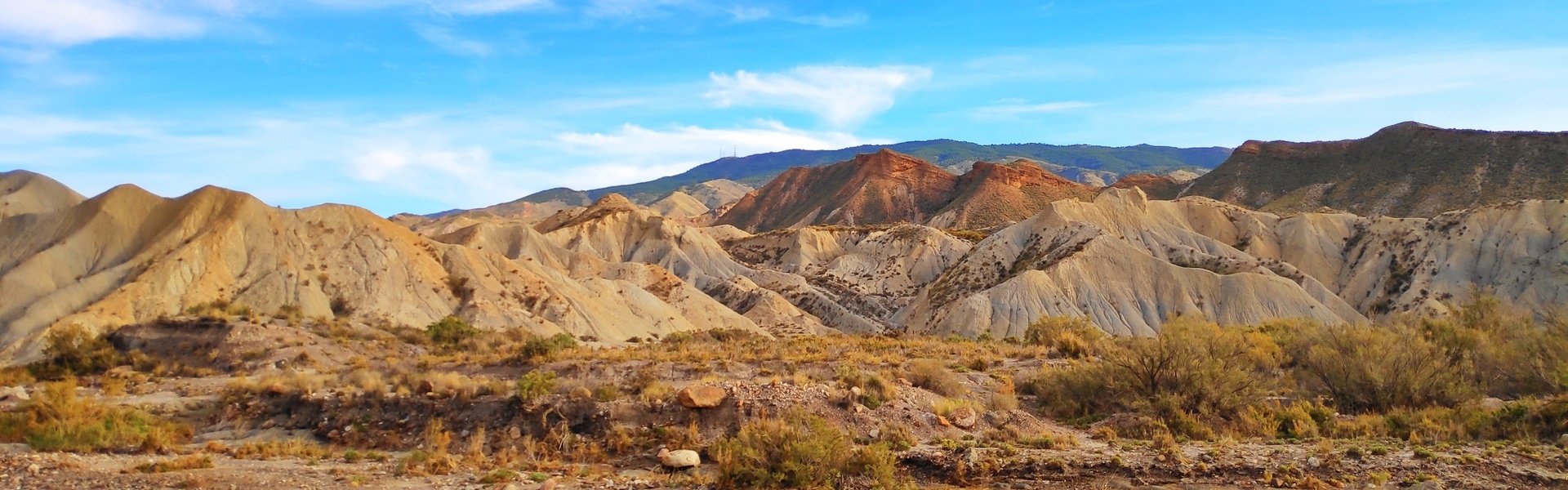 Excursión al Desierto de Tabernas