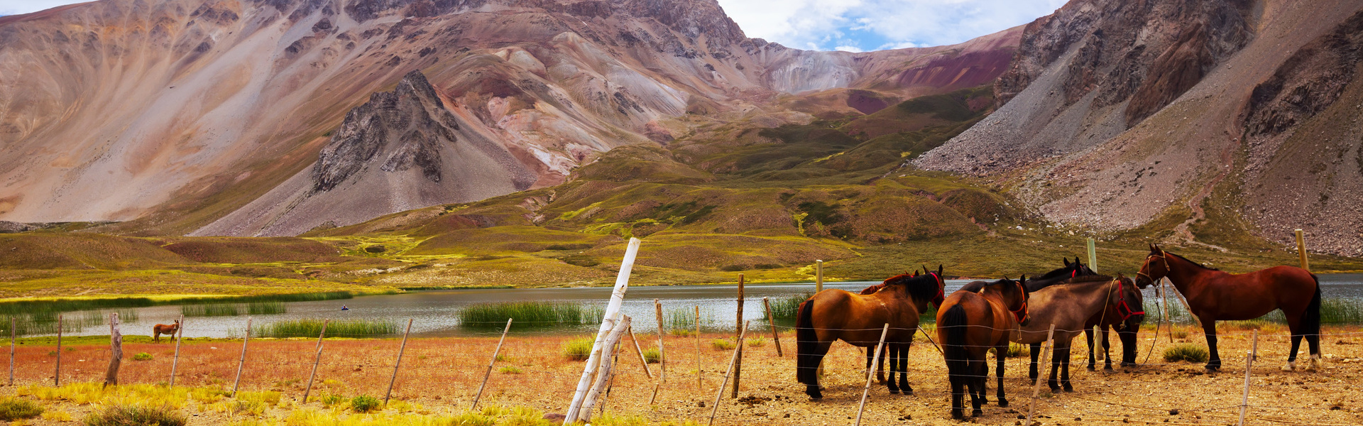 Excursión a caballo en los Andes