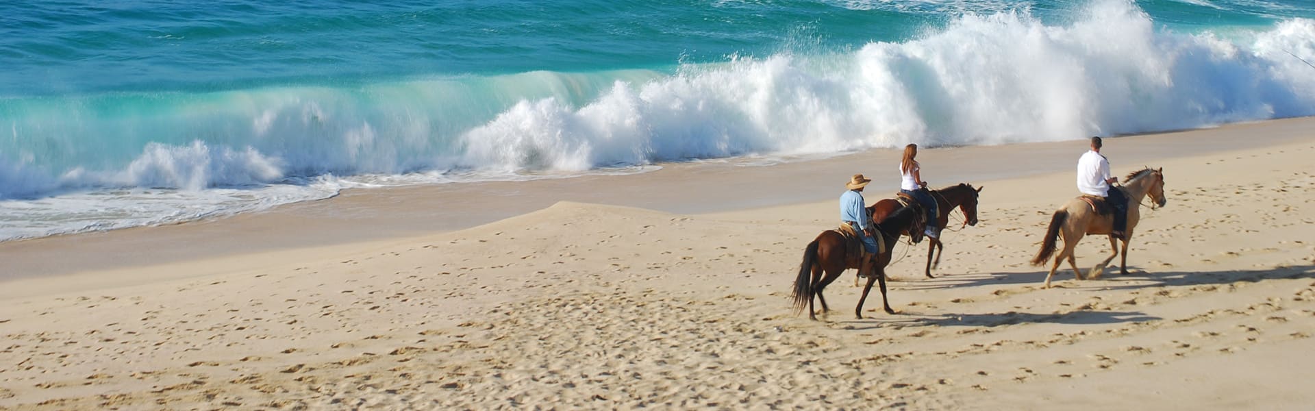 Paseo a caballo por Los Cabos