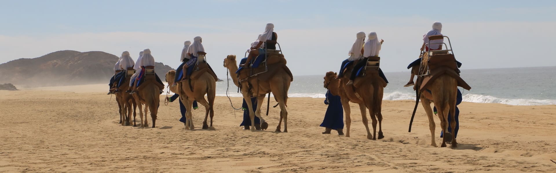 Paseo en camello por Los Cabos