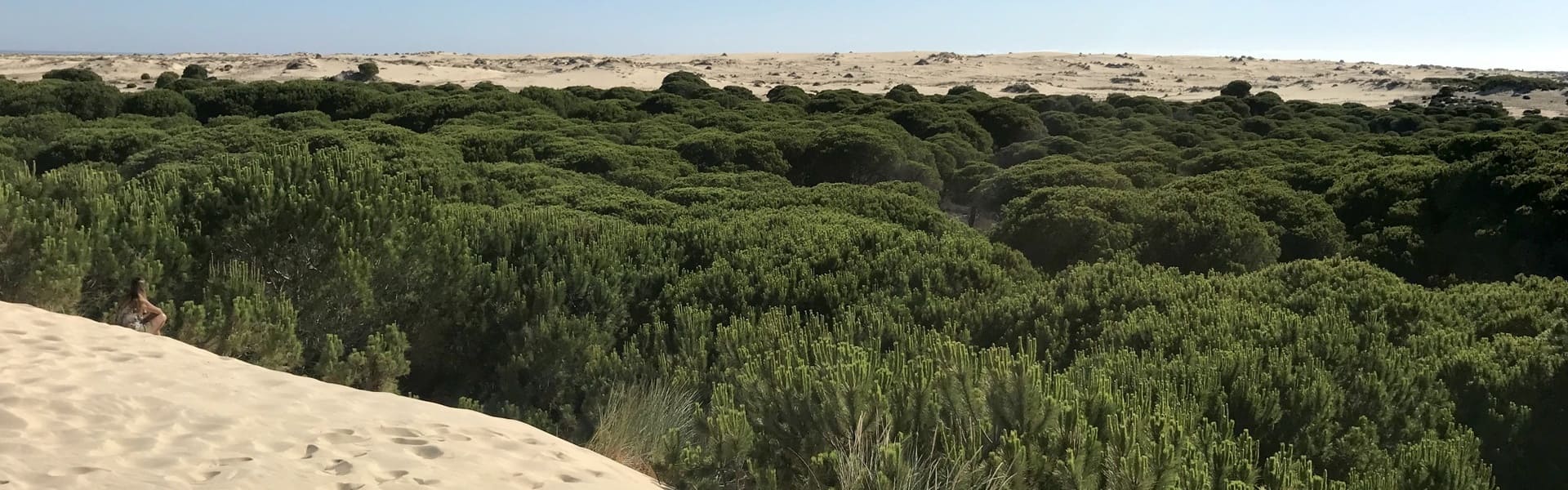 Excursión de dos días a Doñana desde Sevilla