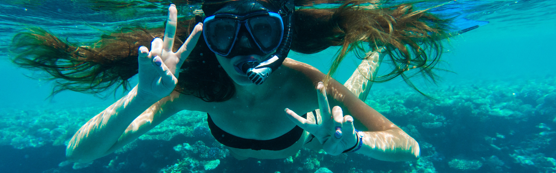 Snorkel con lobos marinos en La Paz