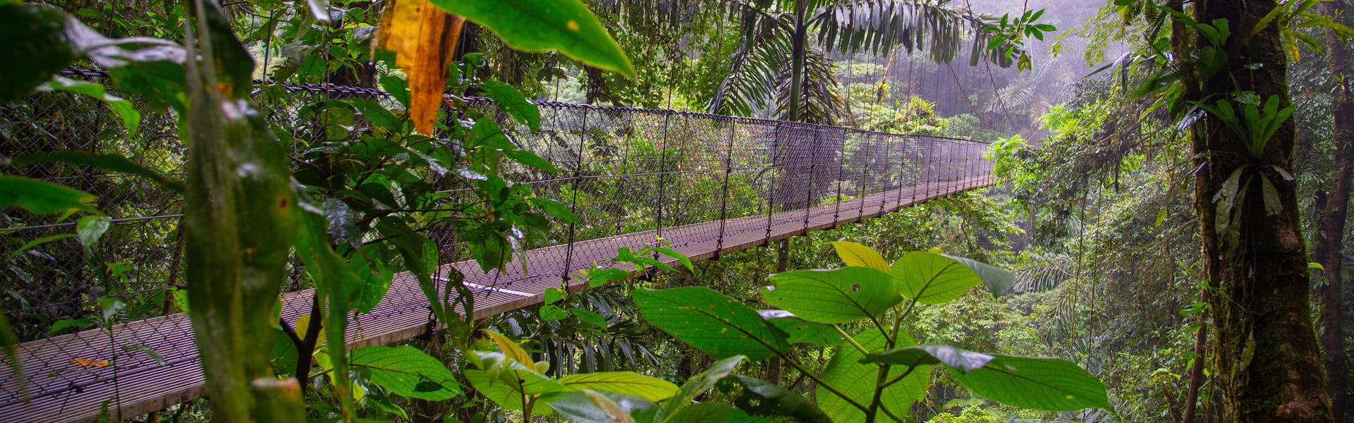 Ruta por los puentes colgantes del Volcán Arenal 