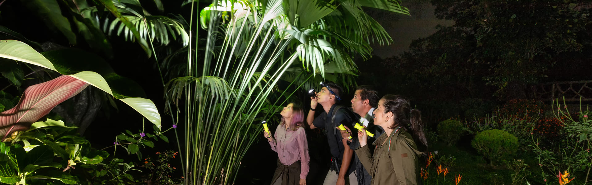 Ruta nocturna por el Parque Místico Arenal