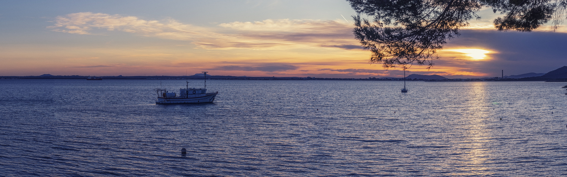 Amanecer en barco con avistamiento de delfines