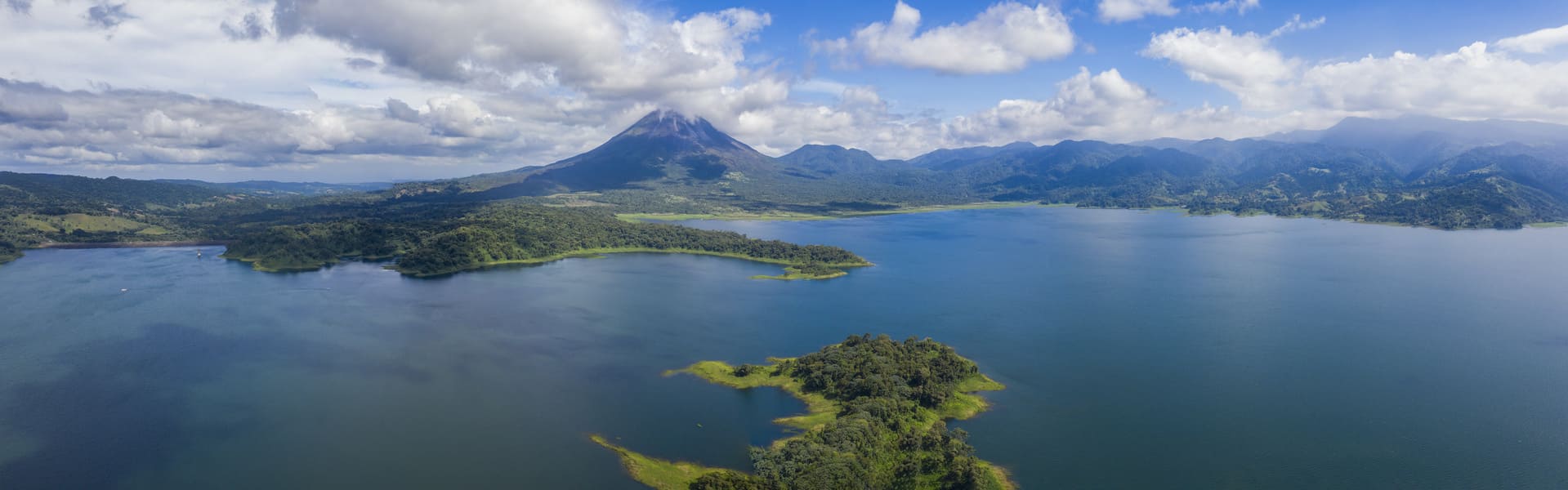 Tour especial de observación de aves en el Bosque Nuboso