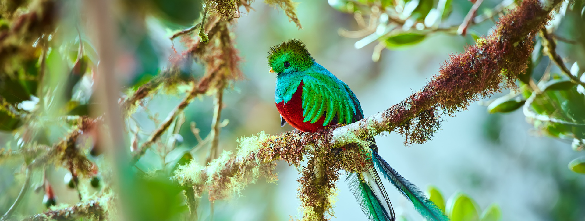 Visita el Parque Nacional de Manuel Antonio 