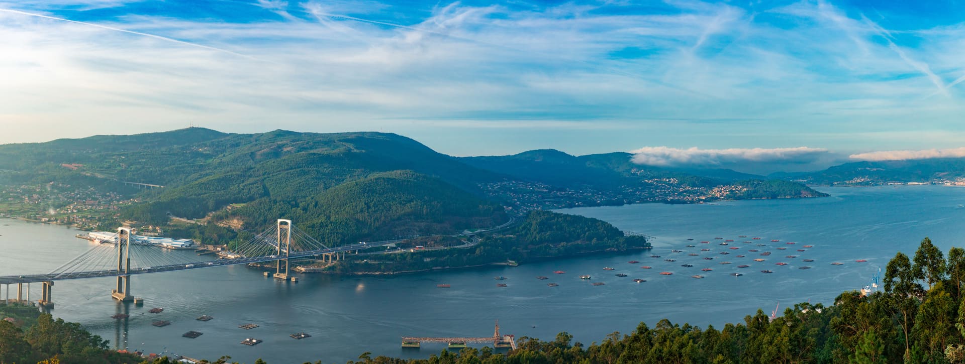 Free tour por la ciudad de Vigo