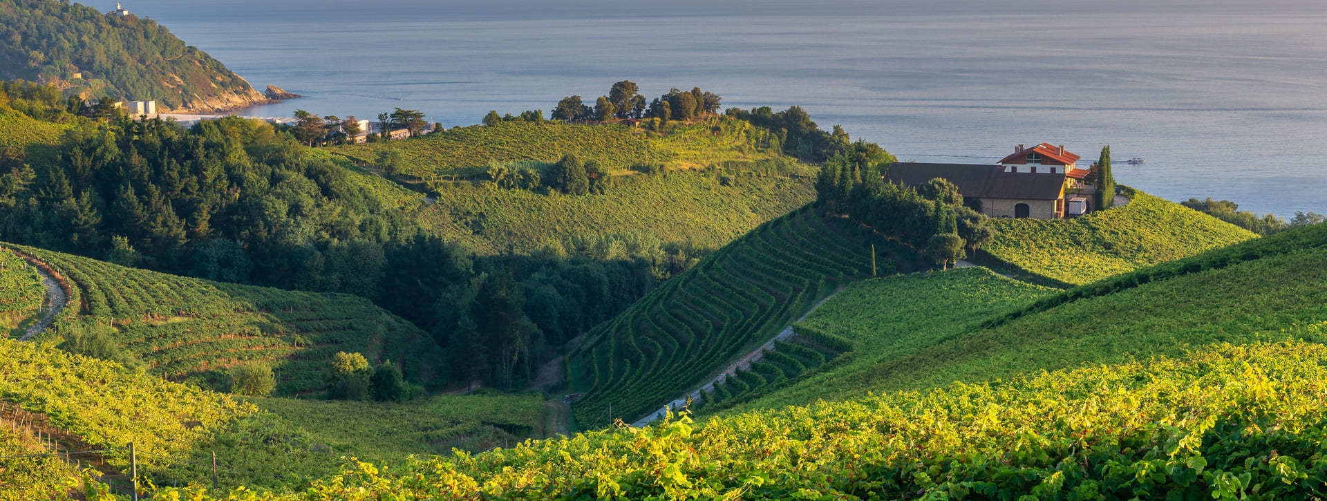 Camino de Santiago Vasco y visita a una bodega de Txakoli