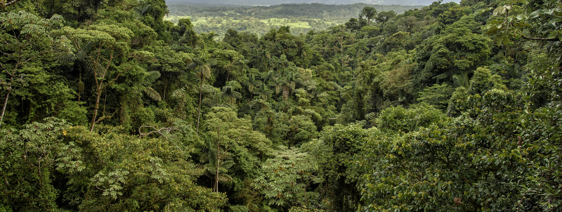 Safari en el Parque Metropolitano de Panamá 