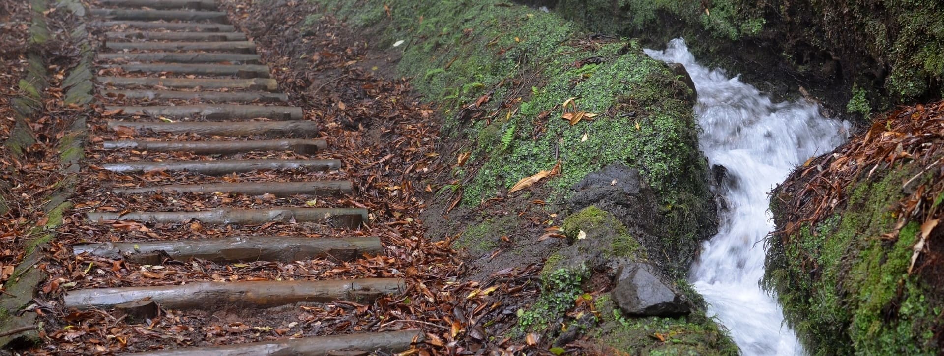 Excursión a los túneles y cascadas de Levada da Ribeira da Janela