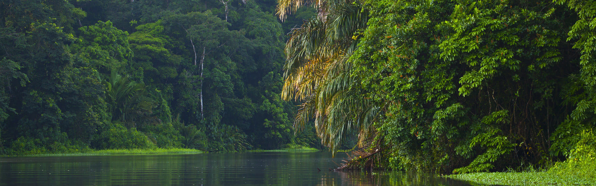 Excursión de exploración de Vida Silvestre