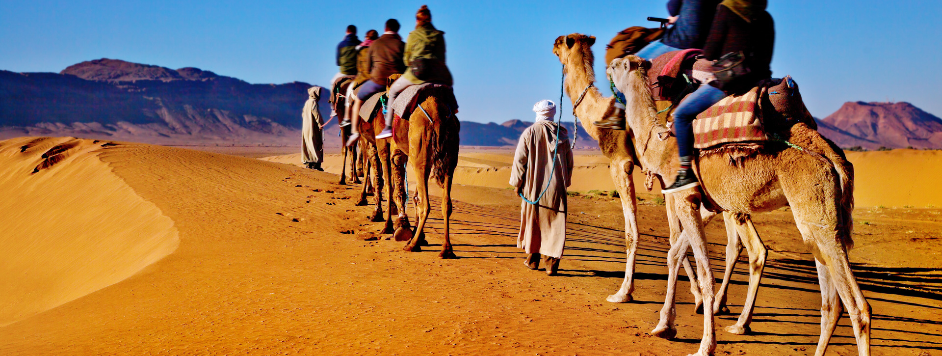 Paseo a camello en Agadir