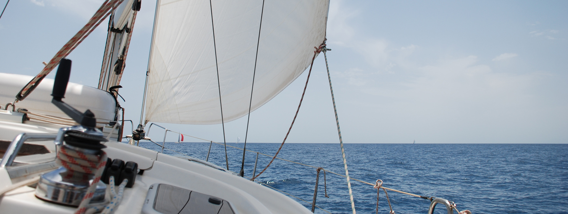 Paseo en barco con avistamiento de cetáceos + Paddleboard