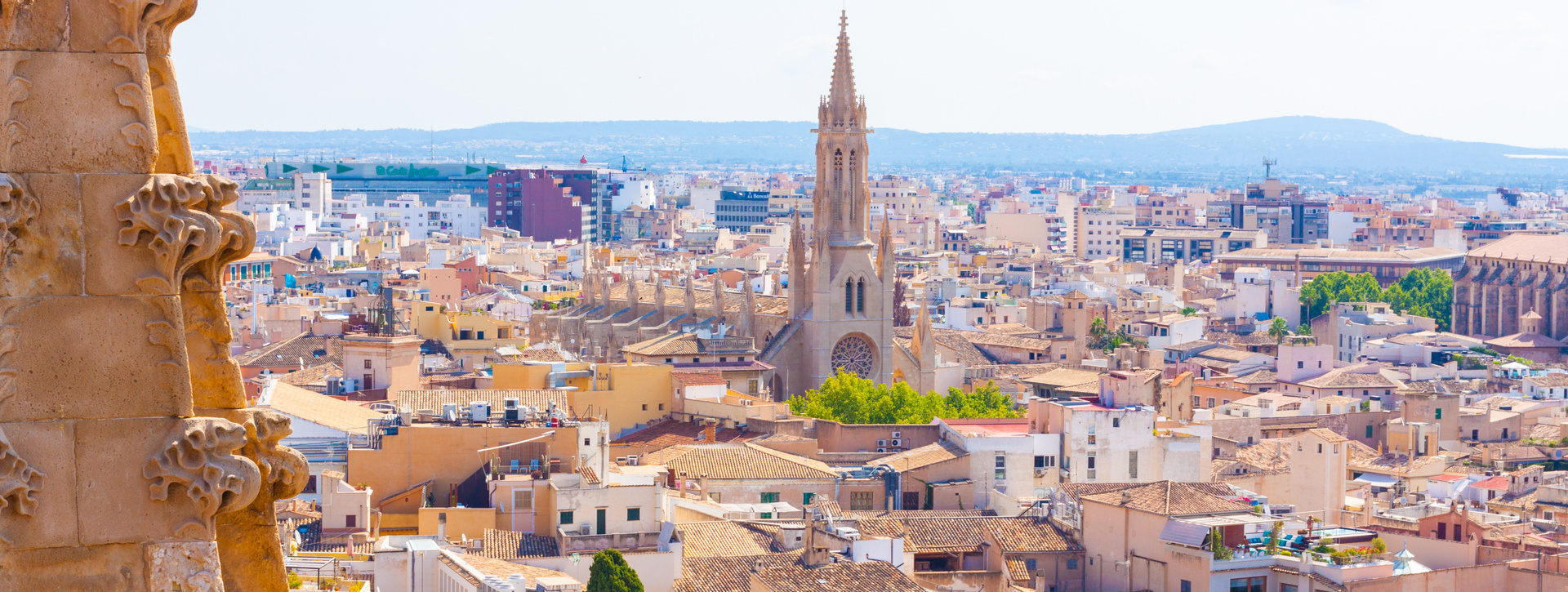 Visita guiada a la Catedral de Palma