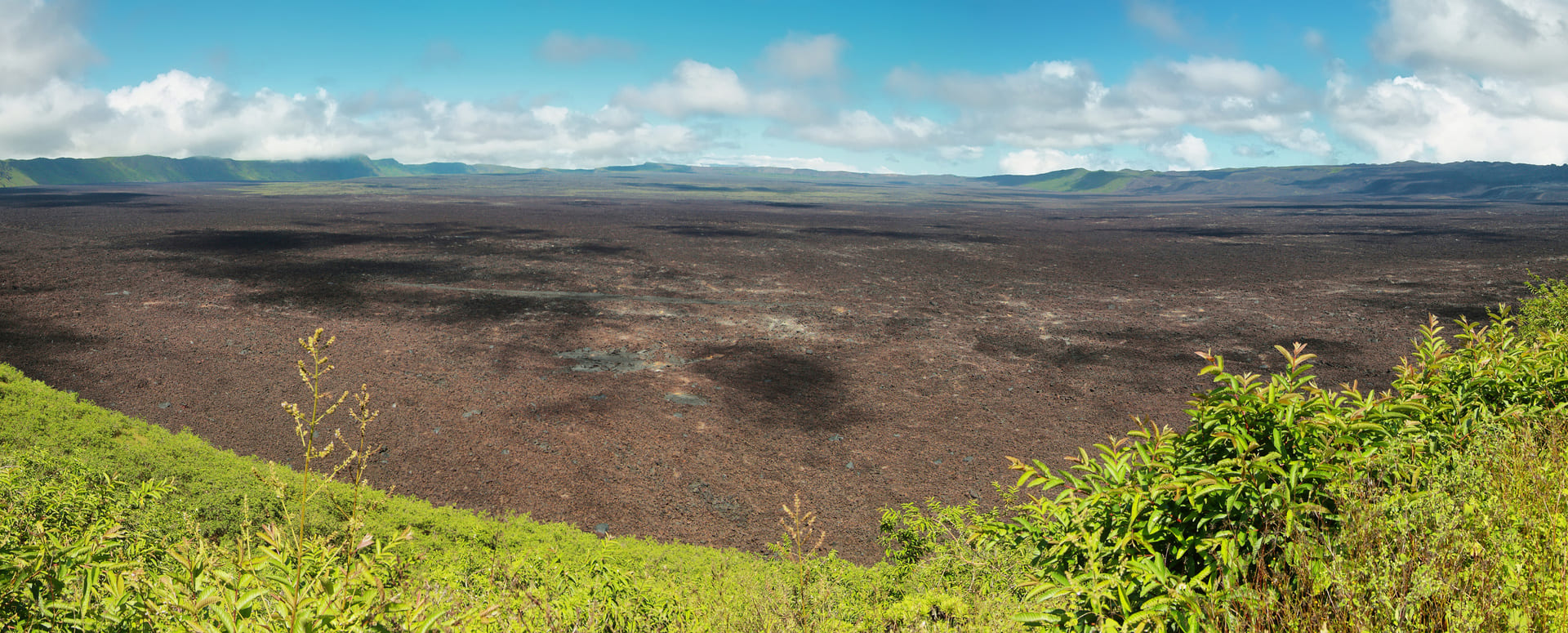 Tour por los volcanes de Sierra Negra y Chico 