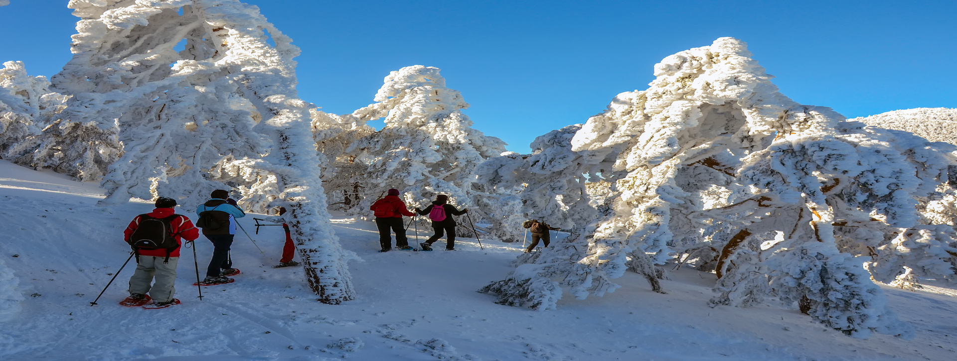 Raquetas de nieve en Madrid (Navacerrada)