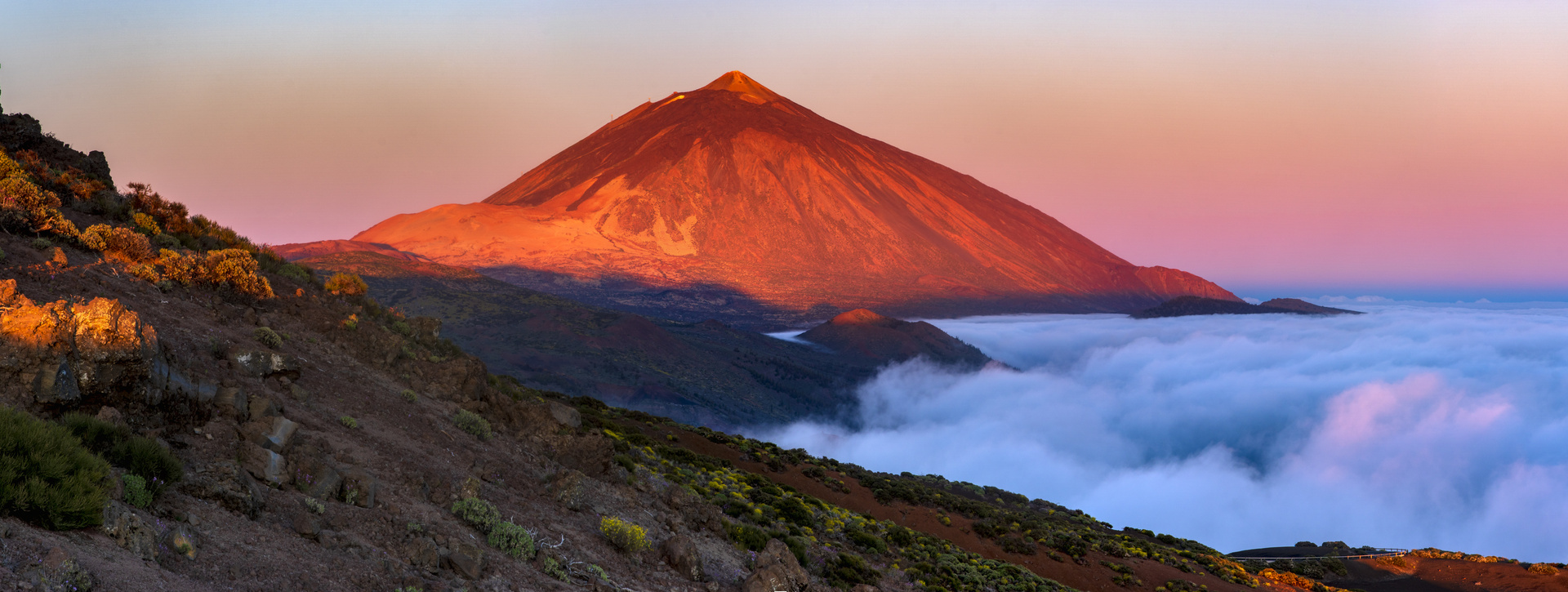 Excursión privada al Parque Nacional del Teide + cata de vinos