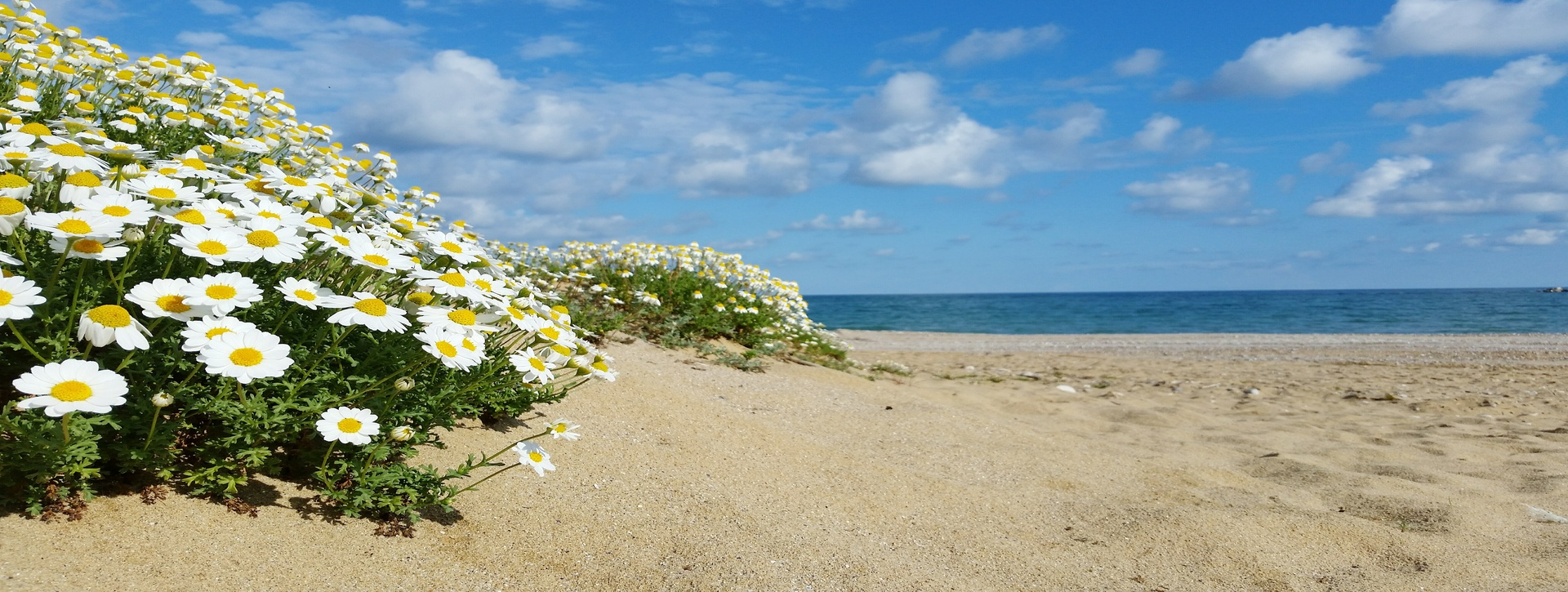 Lido di Casalbordino