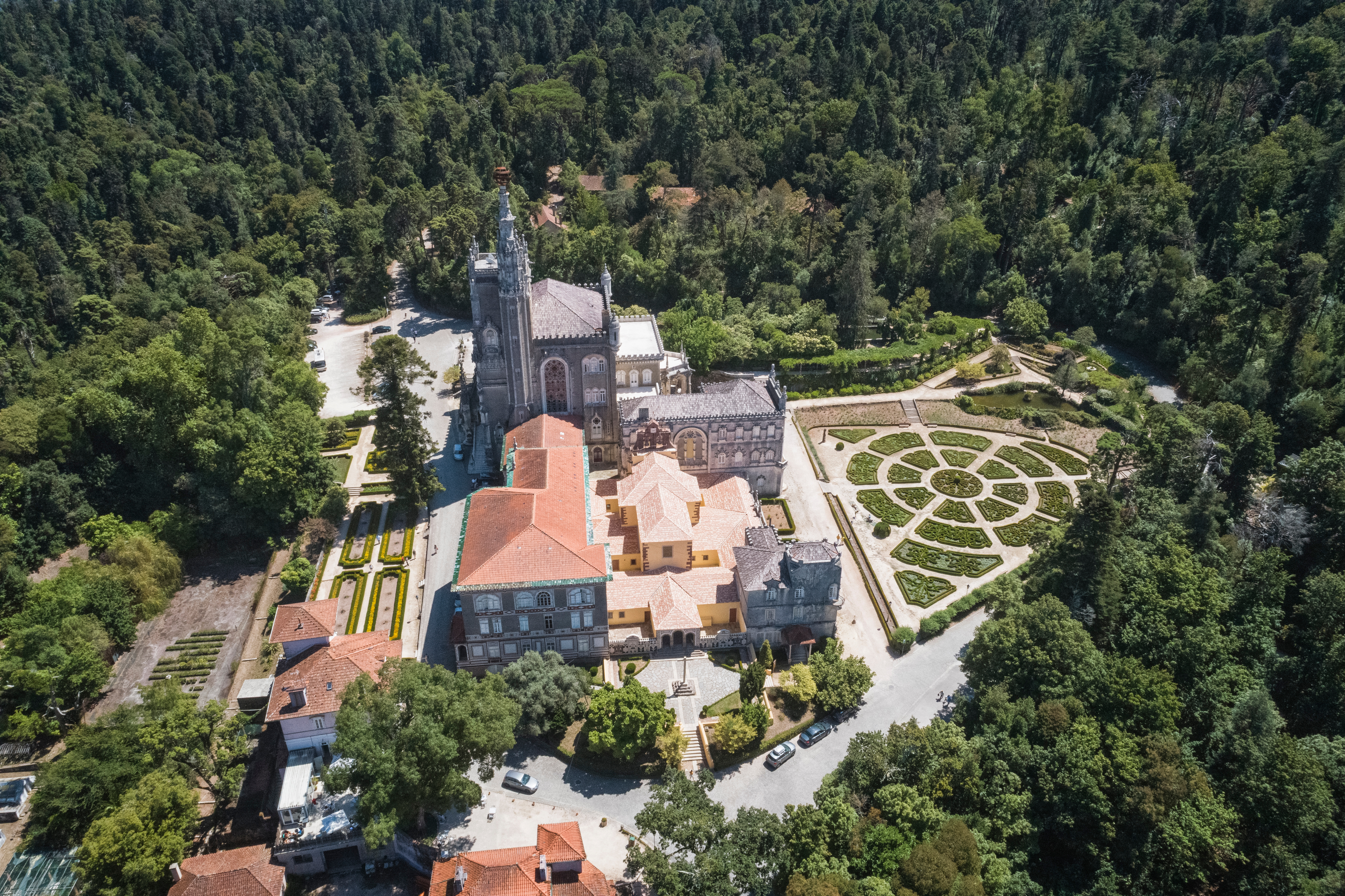 Tour por los viñedos y el bosque encantado de Busaco