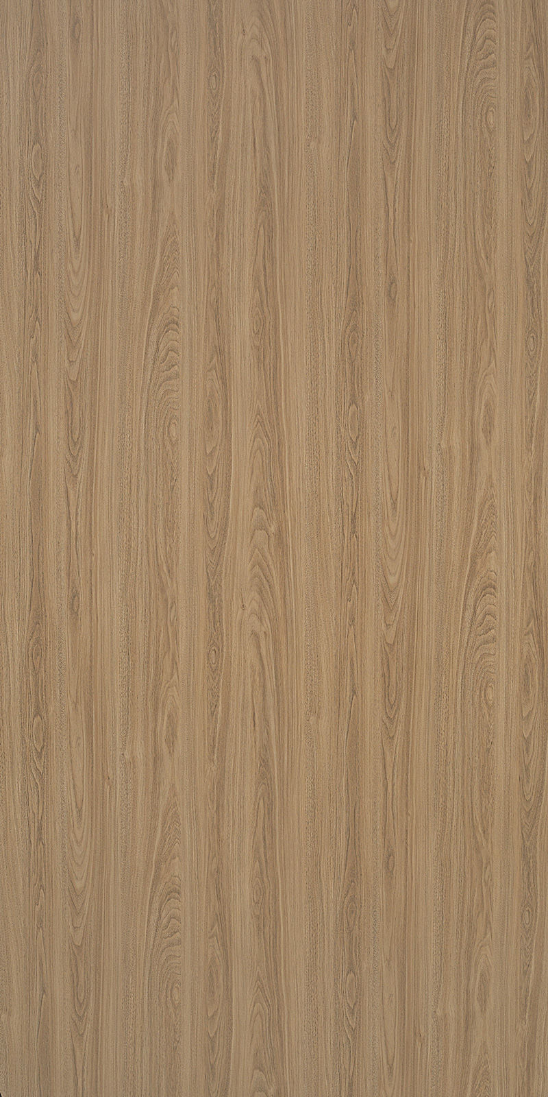 Summer Walnut
