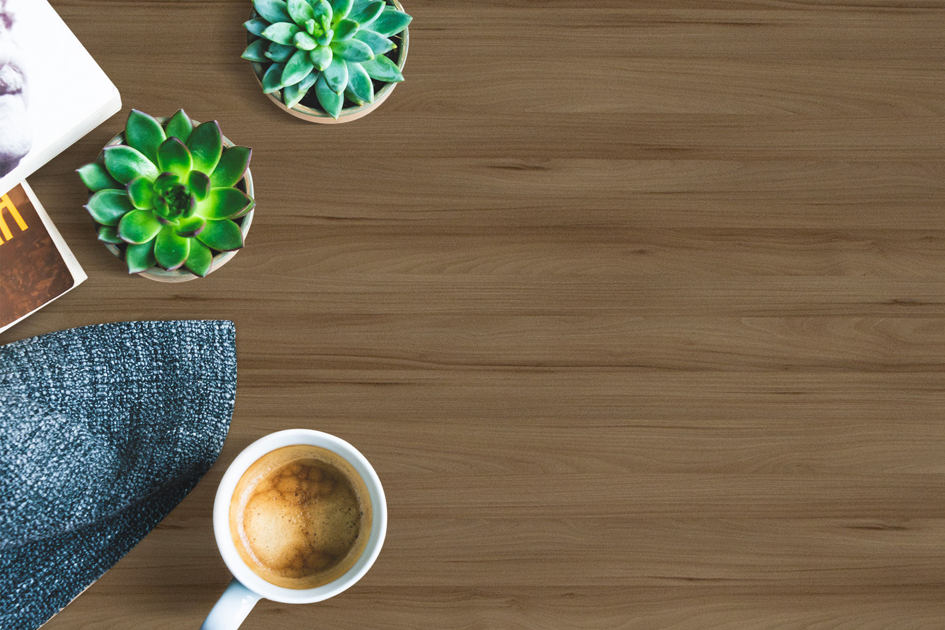 Plush Wood