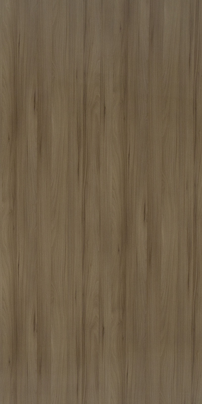 Plush Wood