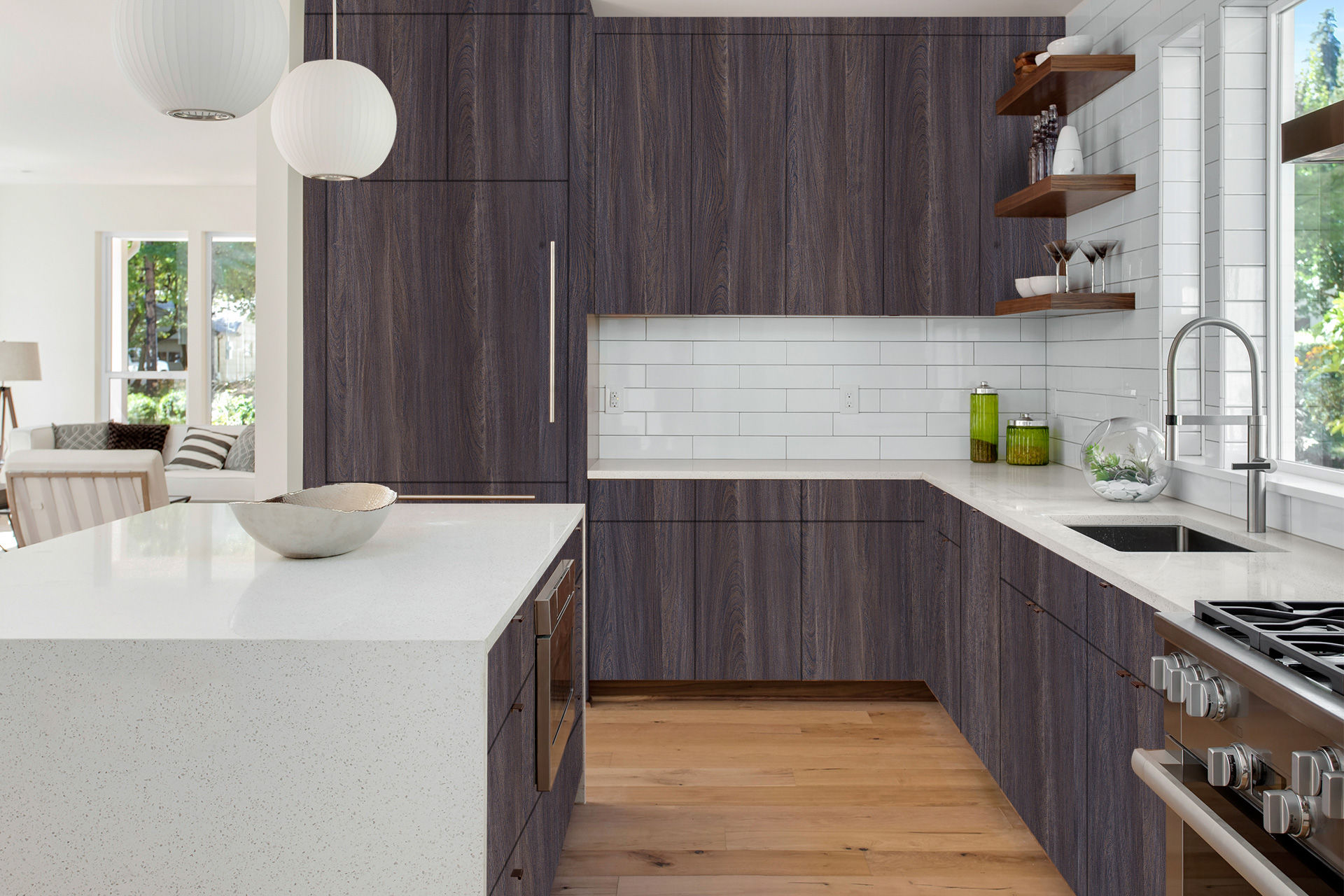Indigo Elm