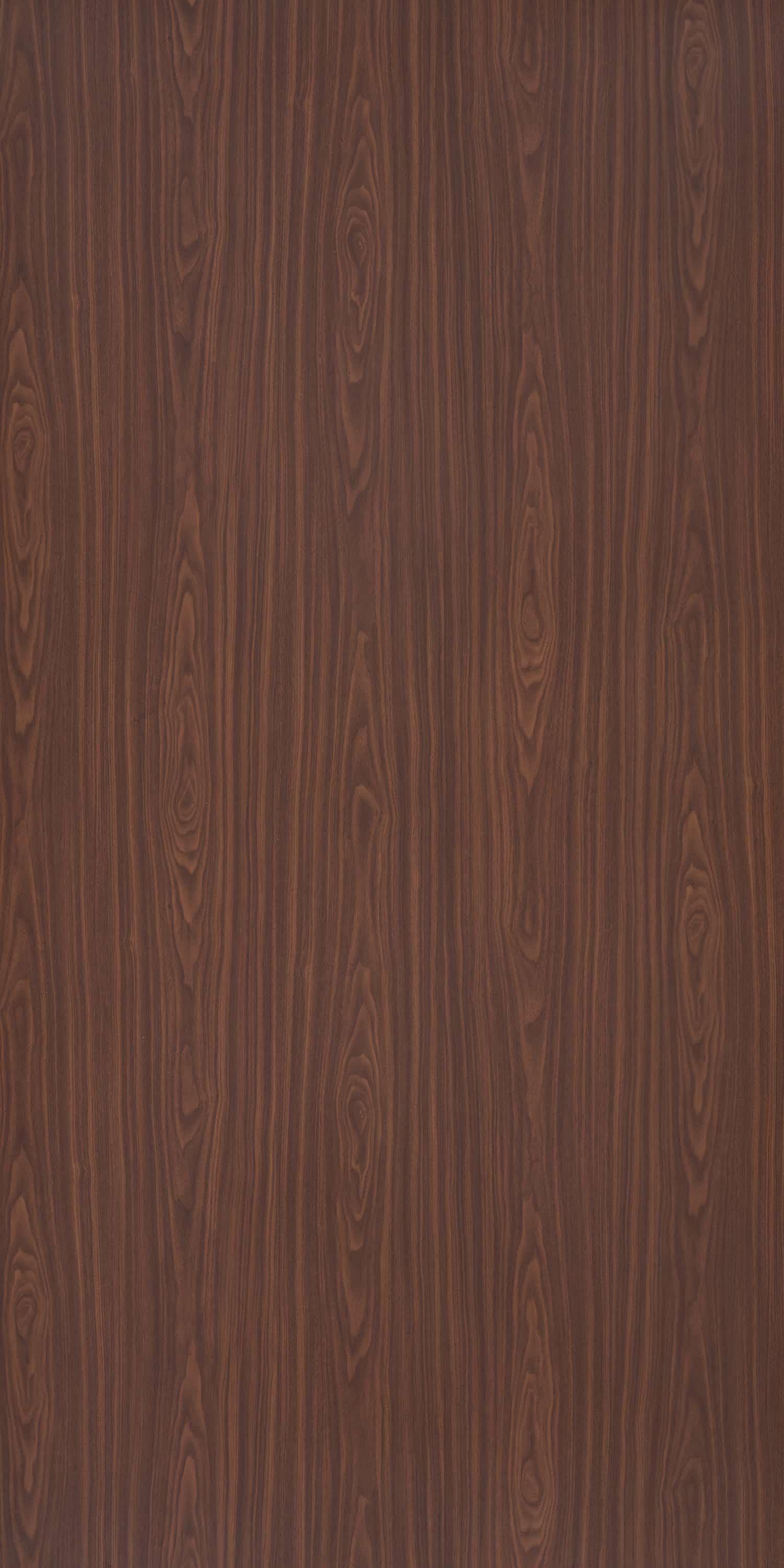 CAIRO WALNUT