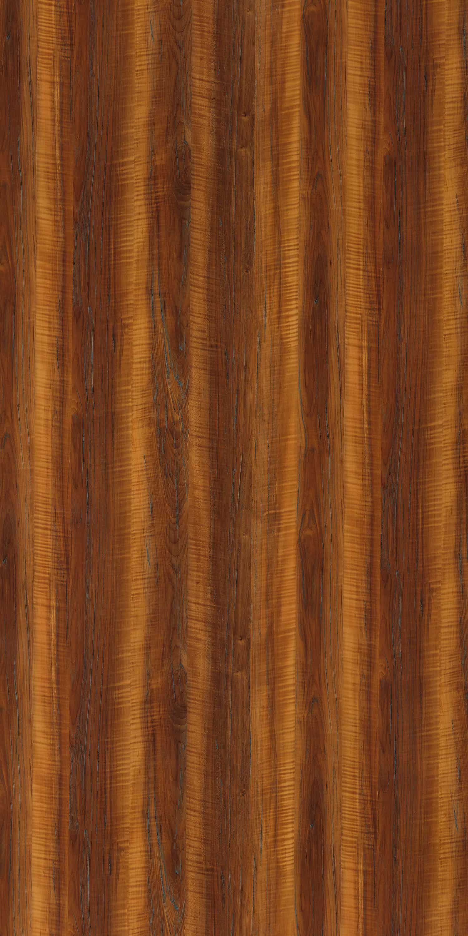 TREASURE MAPLE