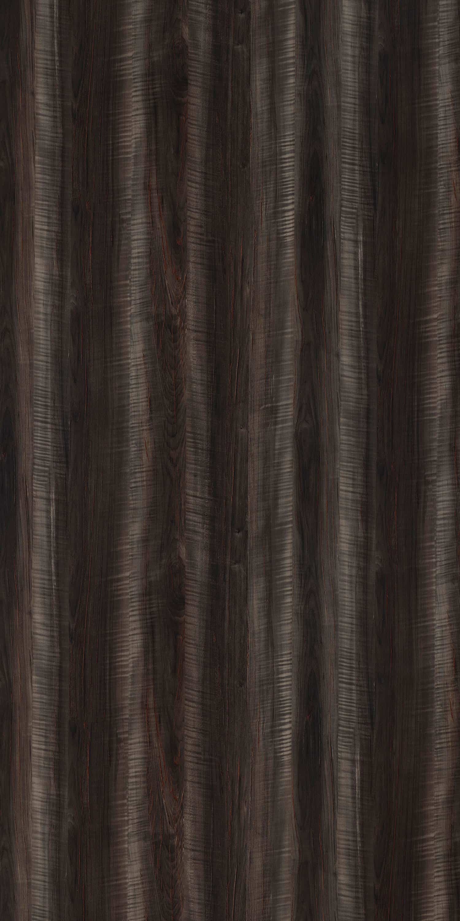 RAULISTA MAPLE