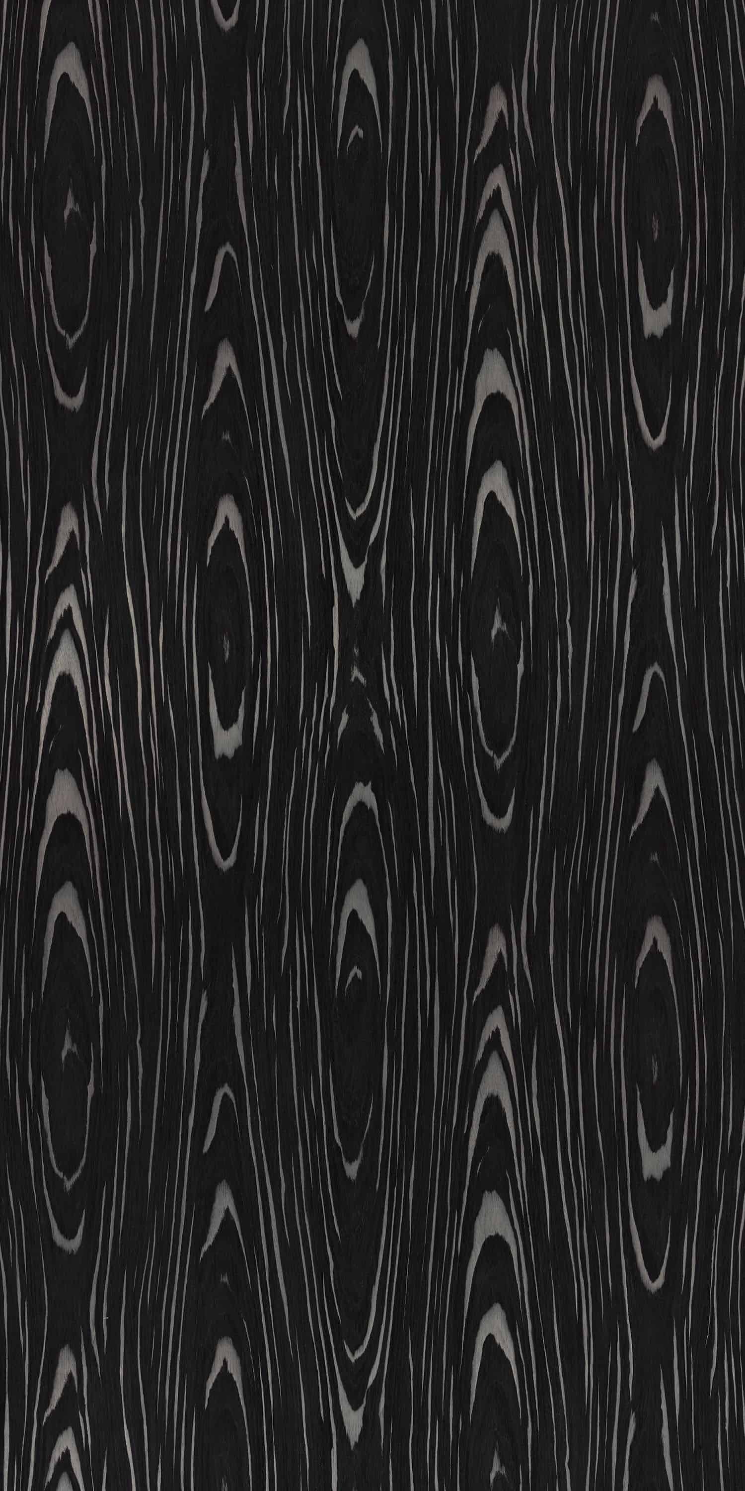 EBONY RADISA