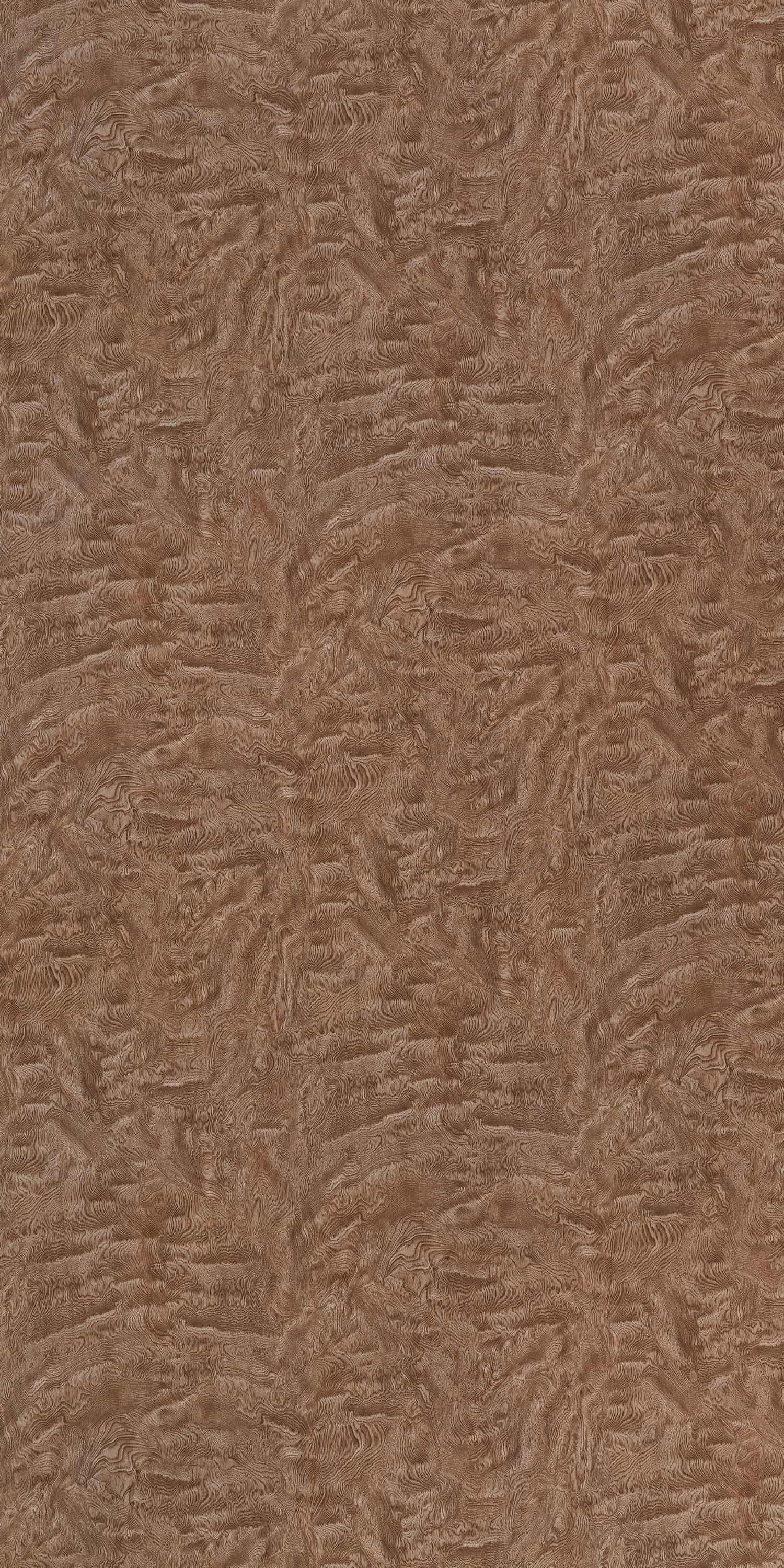 CAMPHOR GREY