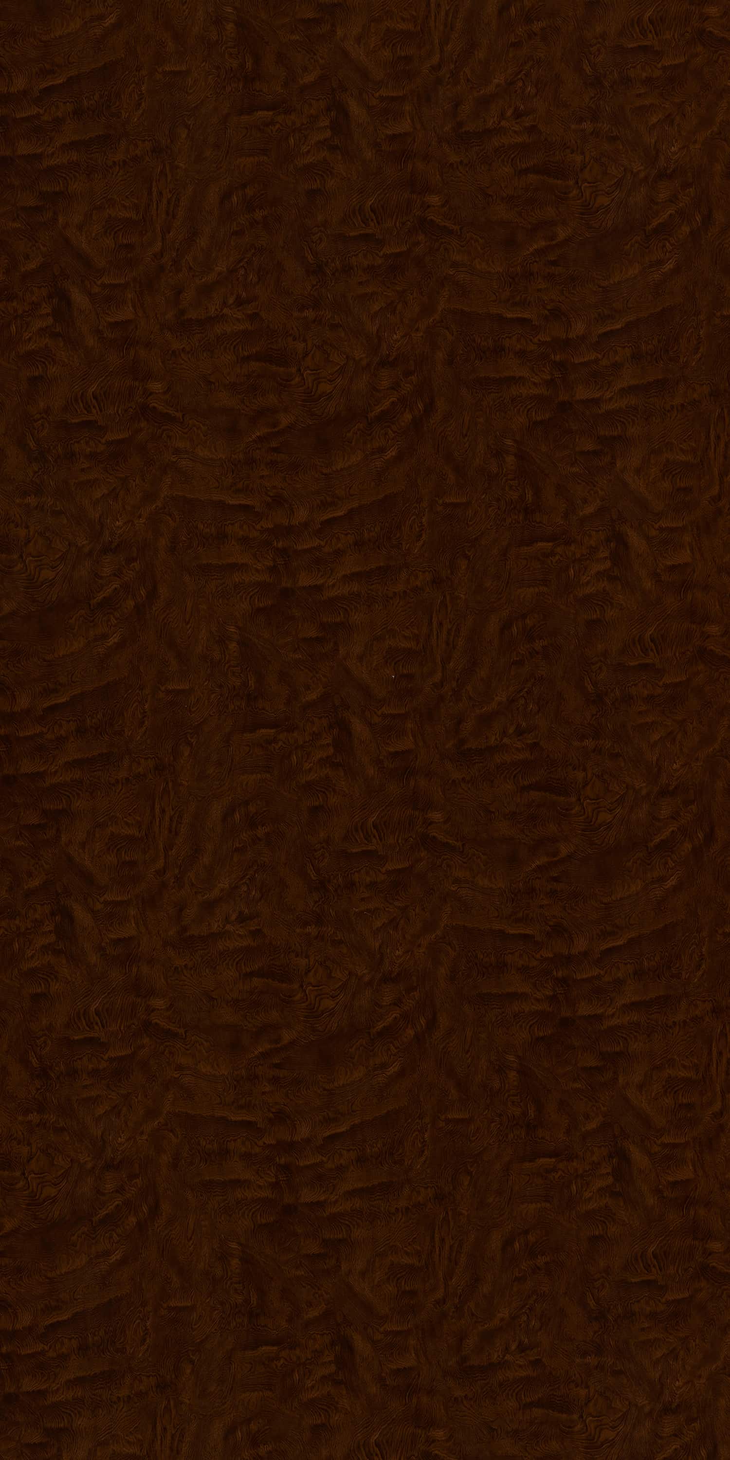 CAMPHOR BROWN